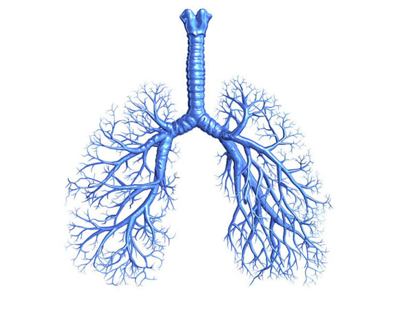 enfermedades pulmonares tehuacan especialista