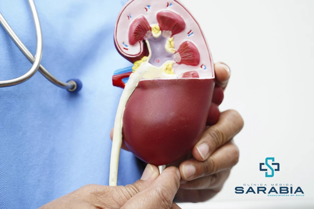 Nefrología y la atención de la Lesión Renal Aguda